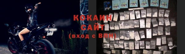гашик Арсеньев