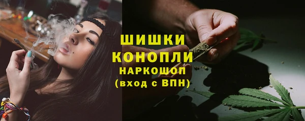 гашик Арсеньев