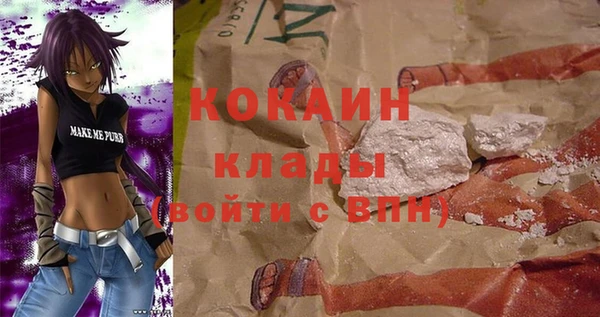 гашик Арсеньев