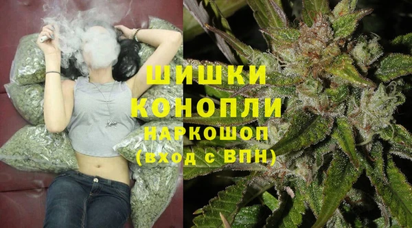 гашик Арсеньев