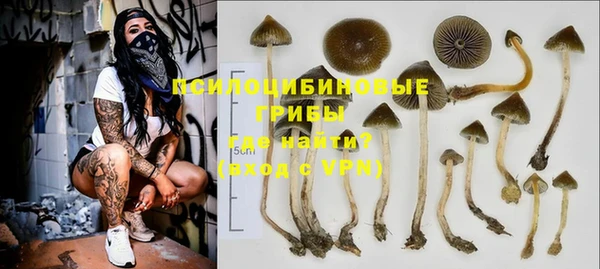 гашик Арсеньев