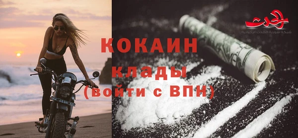 гашик Арсеньев